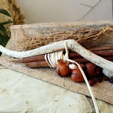Apartamento Nikoleta *
